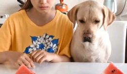 夏天吃瓜比赛视频,激战正酣，瓜果飘香！