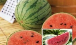 娱乐早吃瓜,揭秘明星幕后故事