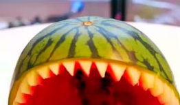 瓜能分着吃吗,探索瓜类分食的独特魅力