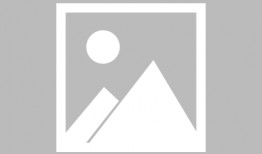 酒家吃瓜蛋,揭秘吃瓜蛋背后的故事